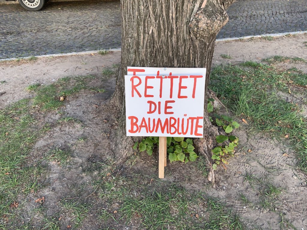 Demonstration gegen die Abschaffung der Baumblüte im Jahre 2019