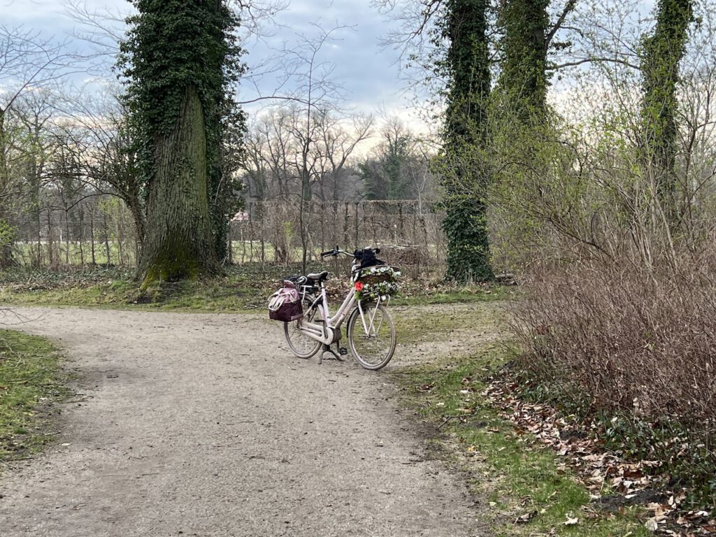 Brandenburger Radwege führen häufig durch schöne Parks.