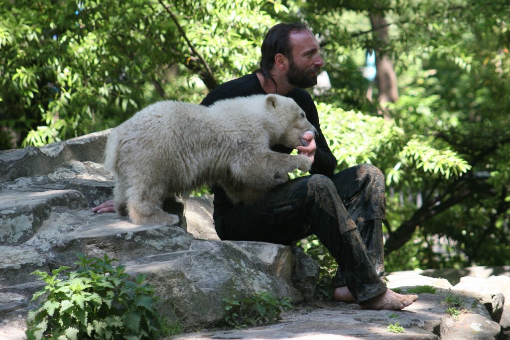 Eisbär Knut mit Pfleger Thomas Dörflern 2007 im Berliner Zoo