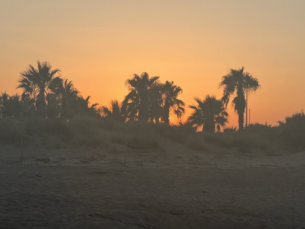 Strand am Campingplatz Las Dunas an der Costa Brava