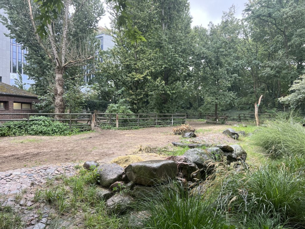 Nashorngehege im Berliner Zoo