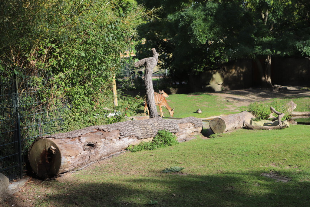 Gehege im Zoologischen Garten in Berlin