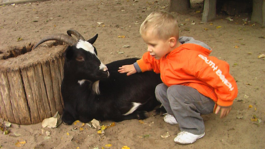 Kleiner Junge im Streichelzoo des Zoologischen Gartens in Berlin