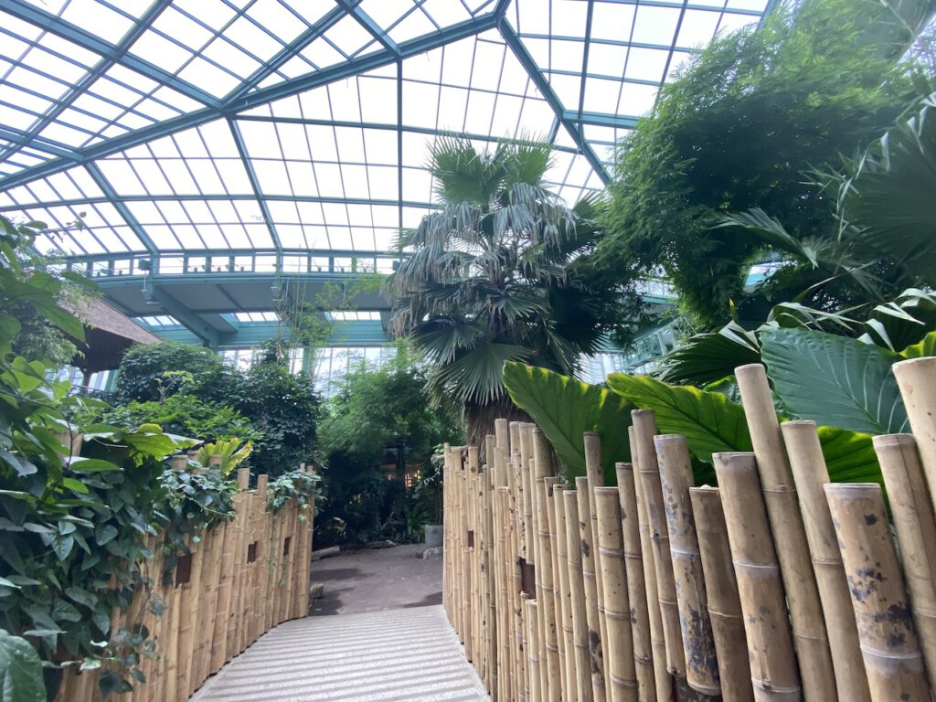 Regenwaldhaus im Tierpark Berlin