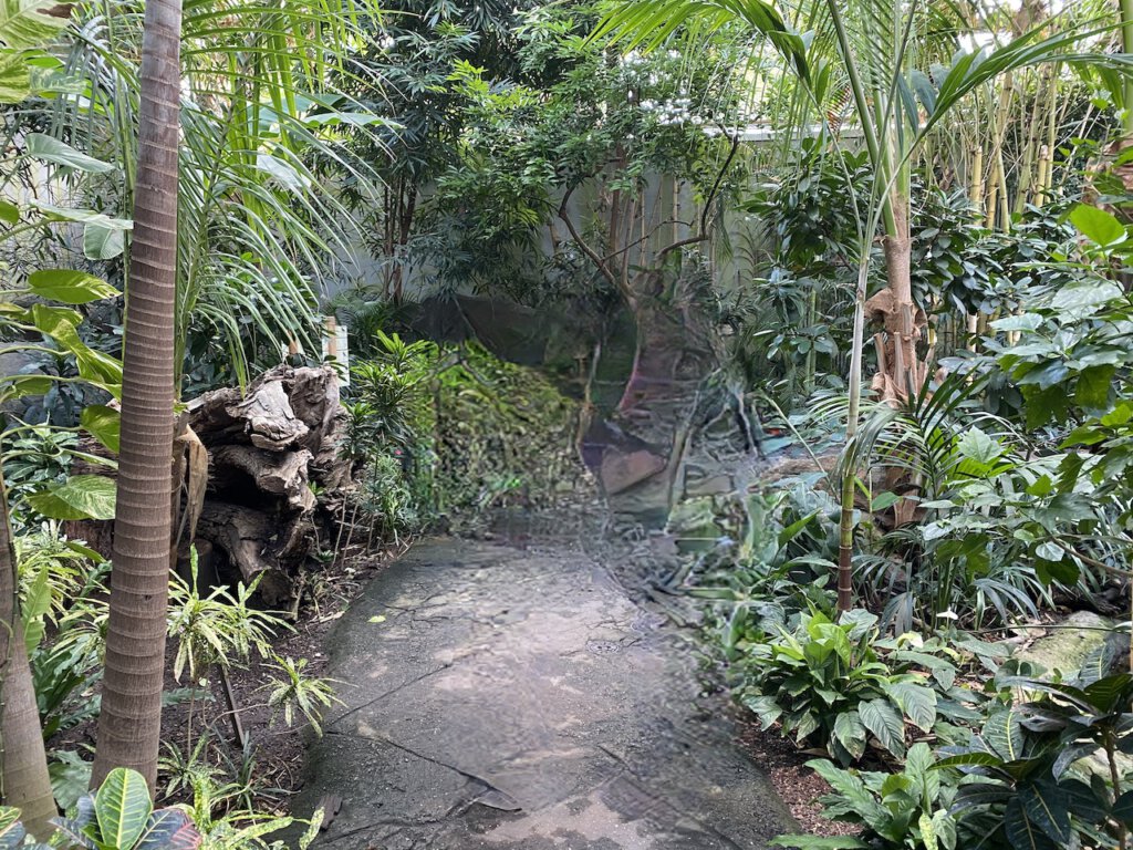 Üppiges Grün in einer Freiflughalle in der Vogelwelt des Berliner Zoos