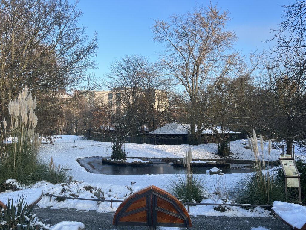 Anlage der Wasserschweine im Zoo Berlin im Winter