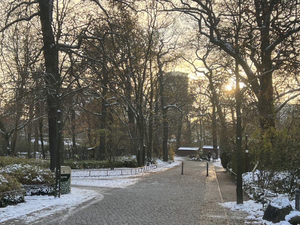 Winterspaziergang im Zoo Berlin