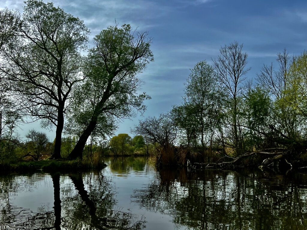 Bäume spiegeln sich im Wasser an der Havel bei Ketzin