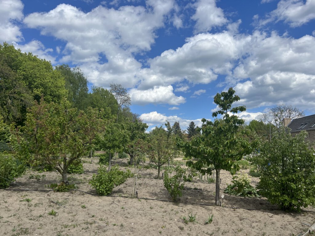 Schuffelgarten in Werder (Havel)