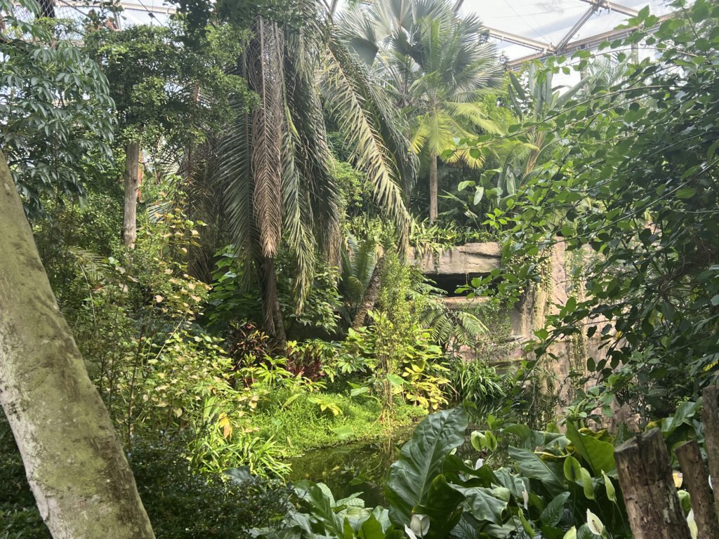 Gondwanaland Zoo Leipzig
