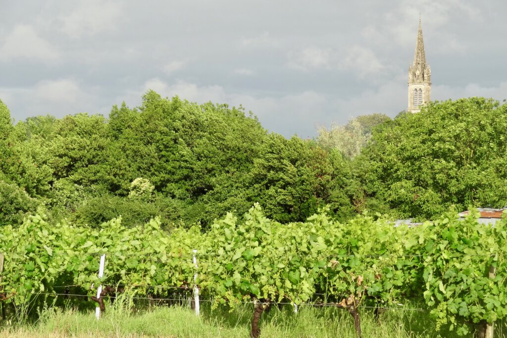 Saint-Christoly-Médoc