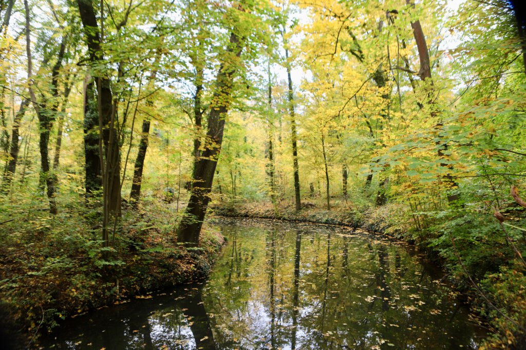 Ein Wasserlauf des Spreewaldes in der Nähe von Lübben im Herbst.