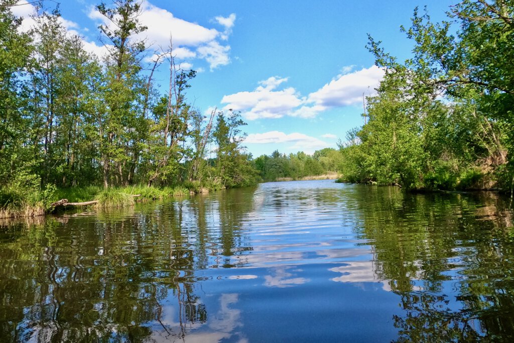 Blick in die Wublitz, ein Nebenarm der Havel. Sie ist mit hohen grünen Bäumen umrahmt