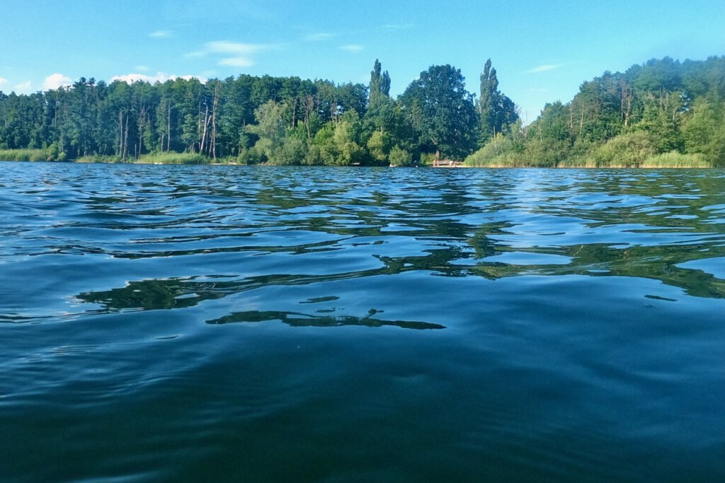 Der Plessower See in Potsdam-Mittelmark. Im Hintergrund ist der Wald mit einer wilden Badestelle zu sehen