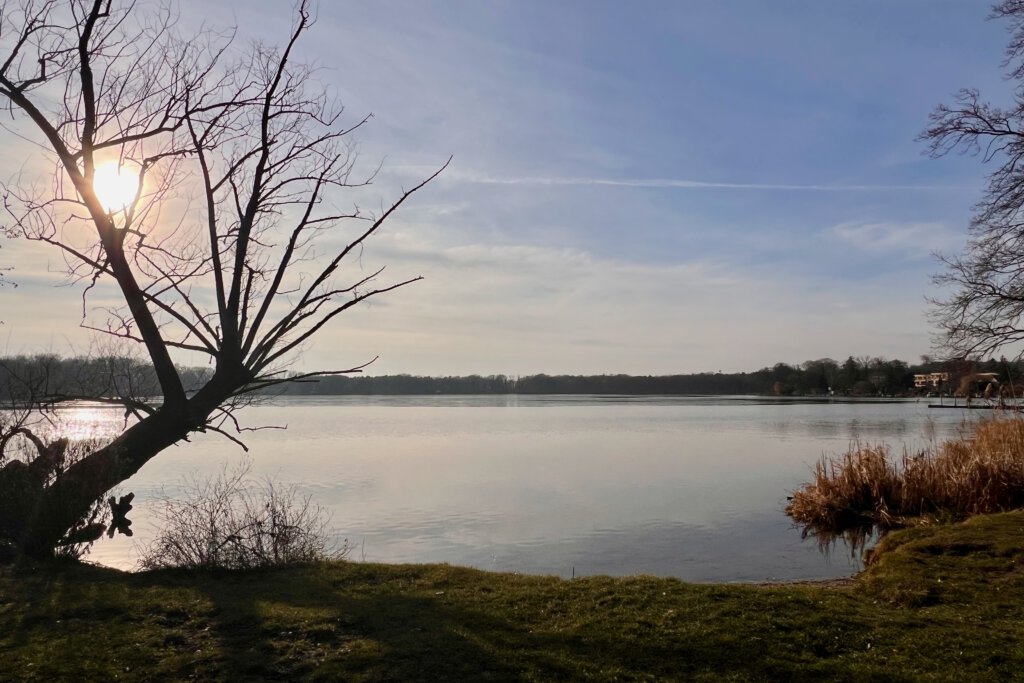 Die wilde Badestelle am Petzinsee in Geltow