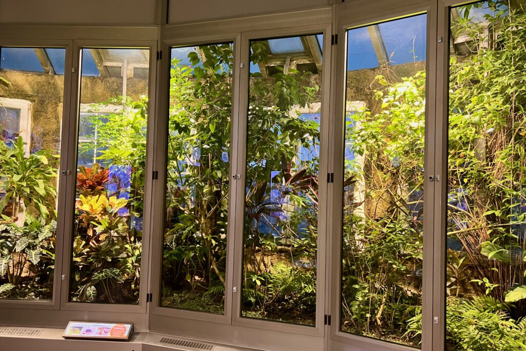 Ein Terrarium im Aquarium Berlin. Hinter den hohen Fenstern befinden sich grüne Pflanzen, hinter denen sich Insekten verstecken