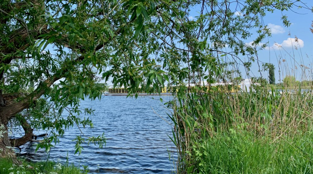Die Havel mit der MS Sanssouci versteckt hinter einem grünen Baum