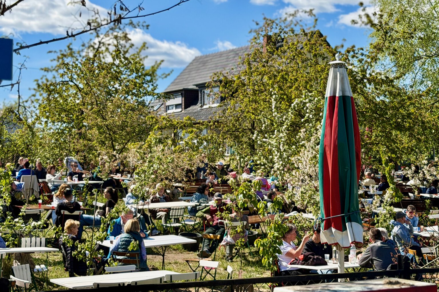 Baumblütenfest: Höfe und Gärten in und um Werder Baumblüte - 1 (18)